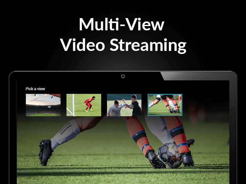 Multi-View Video Streaming