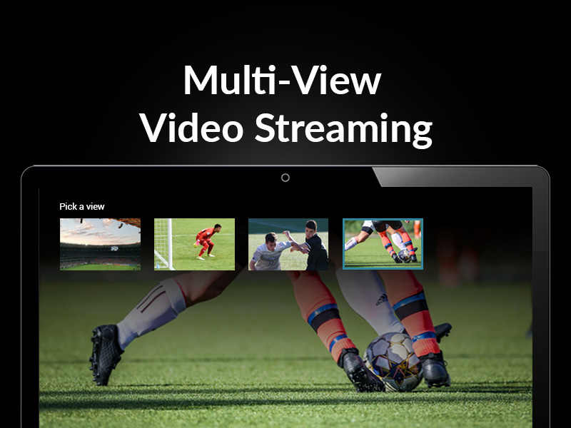 Multi-View Video Streaming